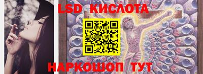 крисы Моздок