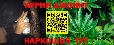 крисы Моздок