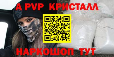 крисы Моздок