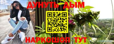 крисы Моздок