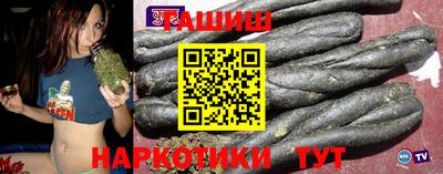 крисы Моздок